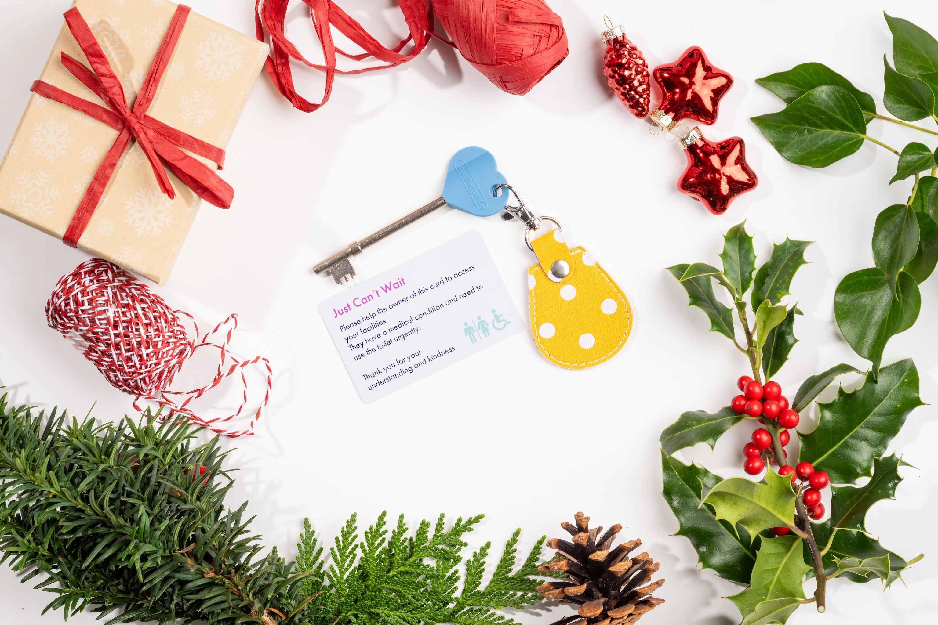 Genuine RADAR Disabled Toilet Key and Fabric Keyring in Spotty Canary Yellow - UK Made - Image 3