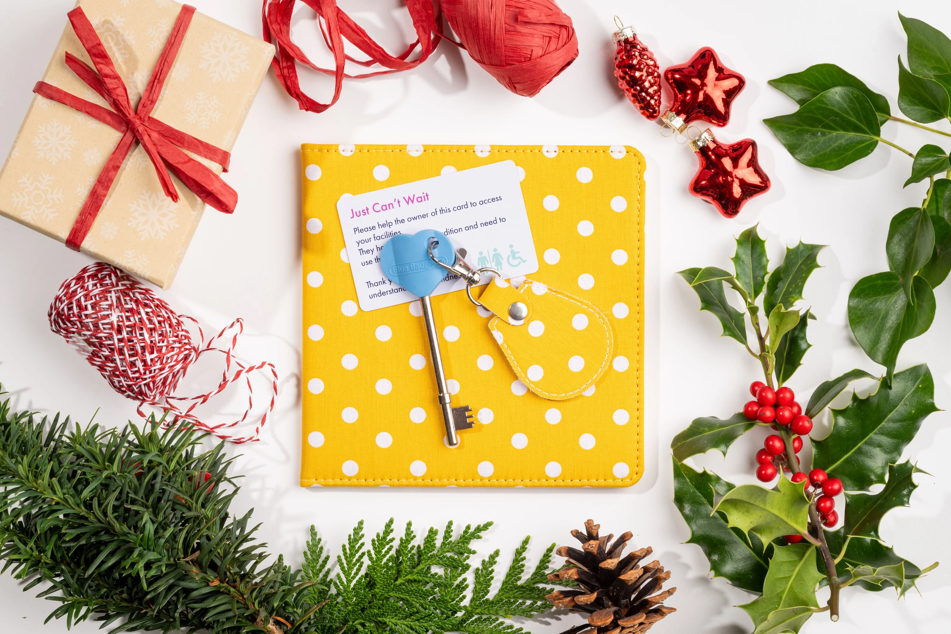 Disabled Blue Badge Wallet, Keyring and RADAR Key in Spotty Canary Yellow - UK Made - Image 5