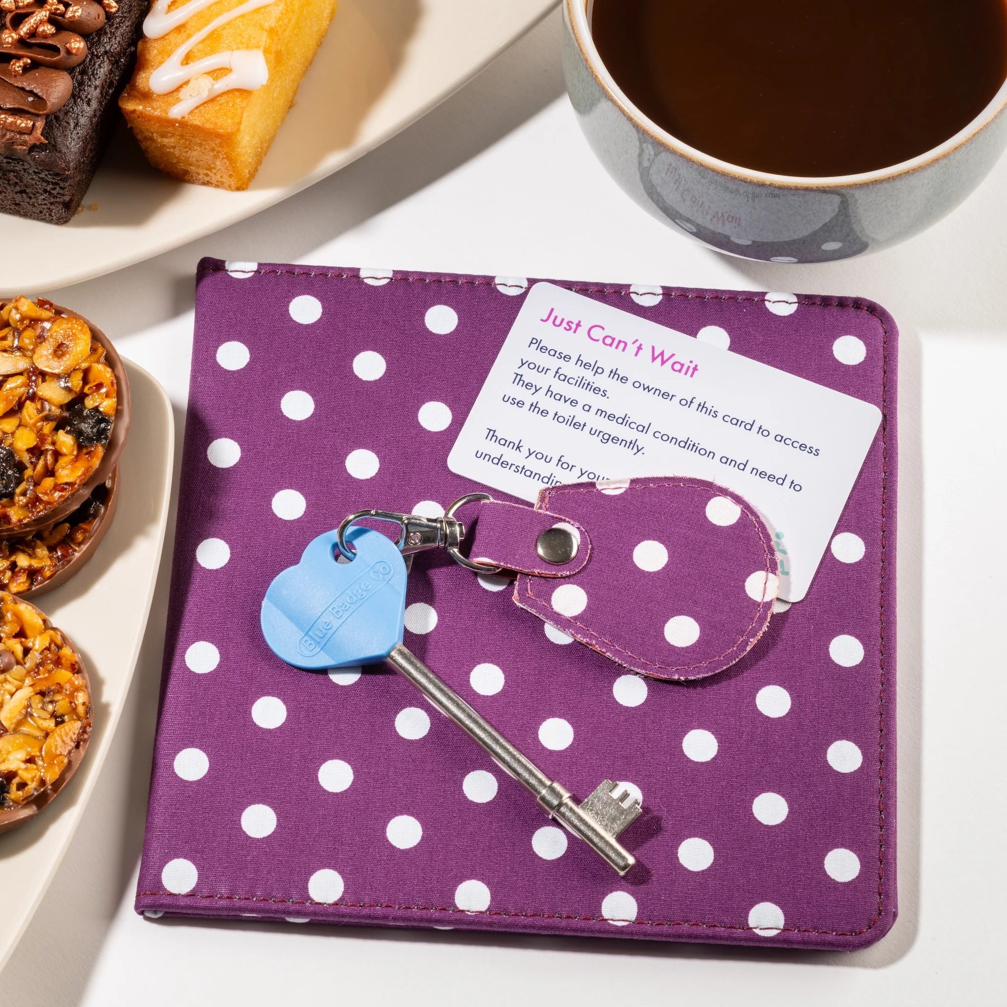 Disabled Blue Badge Wallet, Keyring and RADAR Key in Spotty Grape - UK Made - Image 9